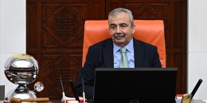 Sırrı Süreyya Önder TBMM'de düzenlenecek törenle anılacak!