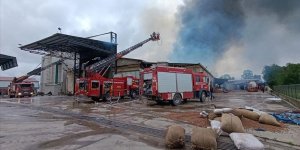 Sakarya'da fındık kırım fabrikasında çıkan yangına müdahale ediliyor