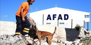AFAD'IN KÖPEKLİ ARAMA TİMİ ÇALIŞMA VE SINAV YÖNETMELİĞİ RESMİ GAZETE'DE