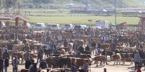 DOĞU ANADOLU'DAN BATIYA YAKLAŞIK 80 BİN KURBANLIK GÖNDERİLDİ