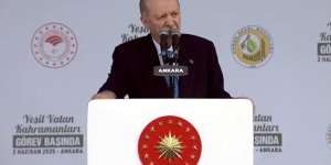 Erdoğan: Orman varlığımızı en güçlü şekilde koruyup geliştirmeye devam edeceğiz