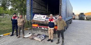VAN'DA KAÇAK AVLANMIŞ 19 TON 200 KİLOGRAM İNCİ KEFALİ ELE GEÇİRİLDİ!