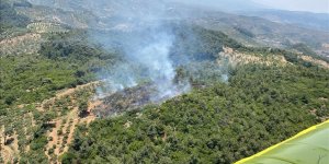AYDIN'IN GERMENCİK İLÇESİNDE ORMANLIK ALANDA YANGIN ÇIKTI