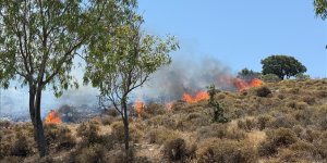Bodrum'da makilik ve otluk alanda çıkan yangına müdahale ediliyor