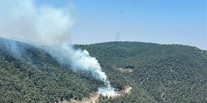 Manisa'da çıkan orman yangınına müdahale ediliyor