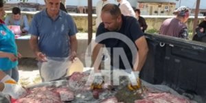 SİNOP'ta KAÇAK AVLANAN 1611 KALKAN BALIĞI ELE GEÇİRİLDİ