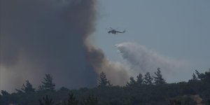 Son Dakika / İzmir'de saatler süren orman yangını! Yüzlerce vatandaş tahliye edildi