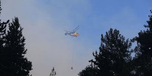 HATAY DÖRTYOL'DA DÜN ÇIKAN ORMAN YANGININA MÜDAHALE SÜRÜYOR