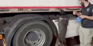 Iğdır'da bir tırda 344 kilo sentetik uyuşturucu ele geçirildi!