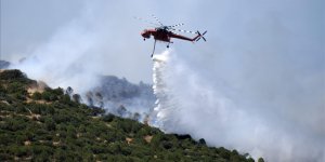 UZMANINDAN ORMAN YANGINLARI KONUSUNDA "KRİTİK ZAMAN" UYARISI