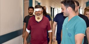 Antalya'da aslanın saldırması sonucu yaralanan kişi taburcu edildi