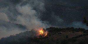 Bursa-Balıkesir sınırında çıkan orman yangını kontrol altına alındı