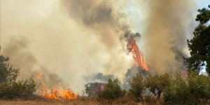 ÇANAKKALE'DE ORMAN YANGINI ÇIKTI!