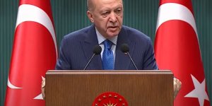 Erdoğan: (Orman yangınları) 1 Haziran'dan bu yana 149 şüpheli gözaltına alındı, 38 kişi tutuklandı