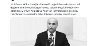 Muğla'da otomobilin çarptığı eski AK Parti Muğla Milletvekili Ali Boğa hayatını kaybetti