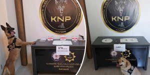 KAYSERİ’DE UYUŞTURUCU ŞEBEKESİ ÇÖKERTİLDİ
