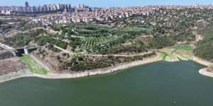 İSTANBUL'DA SON 65 YILIN EN KURAK TEMMUZU YAŞANDI