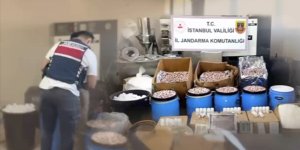 İSTANBUL'DAKİ OPERASYONLARDA 847 BİN 600 UYUŞTURUCU HAP ELE GEÇİRİLDİ, 2 ŞÜPHELİ TUTUKLANDI