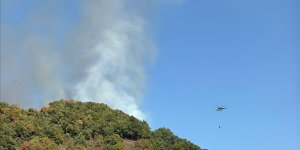 Düzce'de çıkan orman yangınına müdahale ediliyor