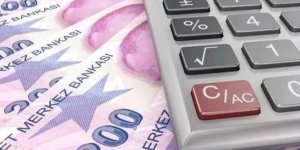 VERGİ VE CEZASI OLAN MÜKELLEFLERİN LİSTELERİ AÇIKLANACAK