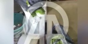 SAMSUN'DA EVİNDE 9 KİLO 660 GRAM ESRAR ELE GEÇİRİLEN ZANLI YAKALANDI