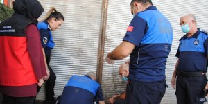 Şanlıurfa’da 1 Ton Bozuk Et Ele Geçirildi!