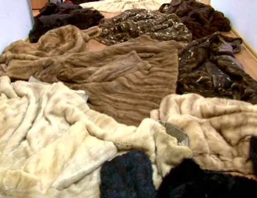 -1535037733.jpg -1535037733.jpg