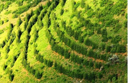 1 milyon hektar alanda erozyon kontrol çalışması yapıldı