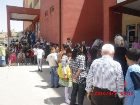 11 Bin 500 Öğrenci Çınar-der'li Olabilmek İçin Ter Döktü