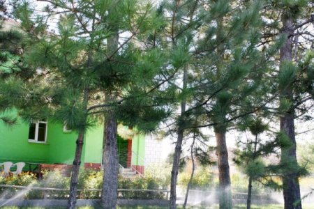 11 yıl önce köye atandı, önce köy camisini sonra mezarlığını değiştirdi