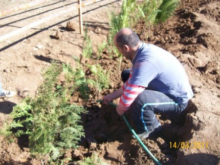 17 Yıldır Ağaç Hasreti Çeken Okul Fidana Kavuştu
