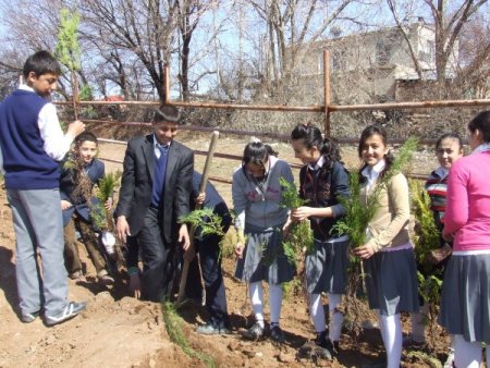 17 Yıldır Ağaç Hasreti Çeken Okul Fidana Kavuştu