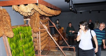 2 asır tütünle anılan Samsun'da, yeni nesil tütün üretimini artık müzede görecek