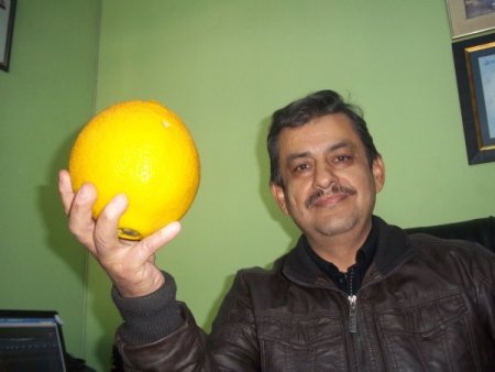 2 kilogramlık dev portakal görenleri hayretler içerisinde bırakıyor