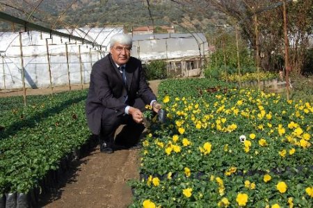 20 Bin Nüfuslu İlçe, Çiçekten Yılda 20 Milyon Lira Kazanıyor