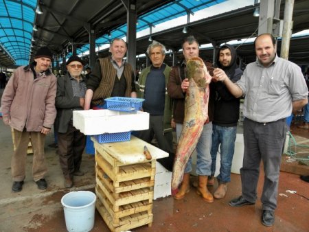 20 Kiloluk Yayın Balığı Pazarın İlgi Odağı Oldu