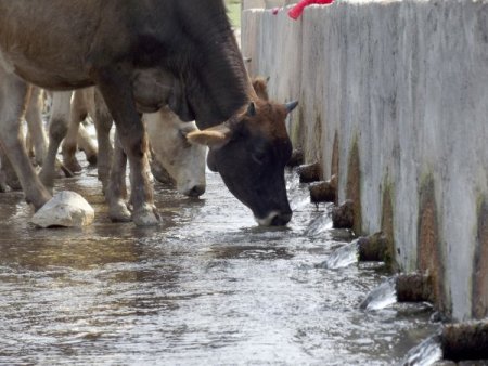20 lülesi bulunan çeşme görenleri şaşırtıyor