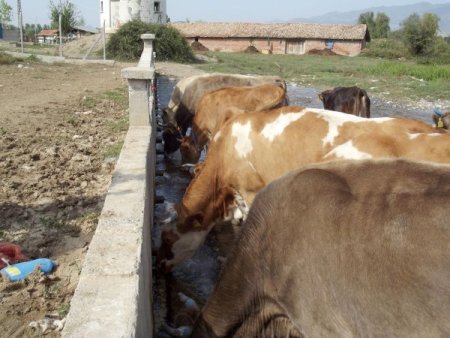 20 lülesi bulunan çeşme görenleri şaşırtıyor