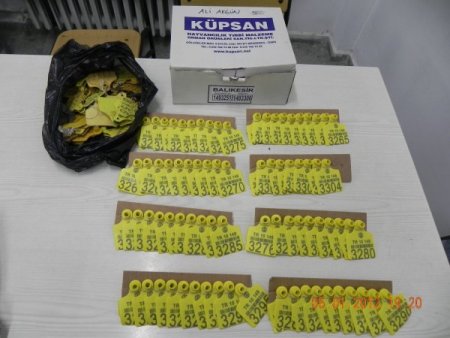 200 Bin Hayali Hayvan Üzerinden 10 Milyon Liralık Vurgun İddiası
