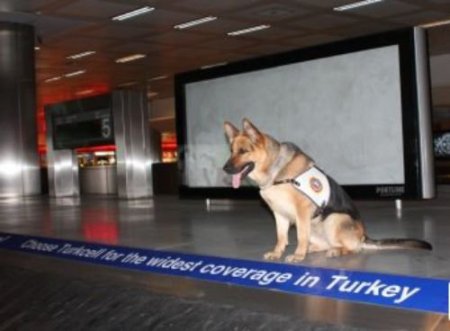 2009'da İstanbul'daki Operasyonlarda 5 Ton Eroin Ele Geçirildi