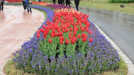 2013 Dünya Botanik Expo'ya 4 milyon ziyaretçi bekleniyor