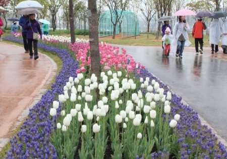 2013 Dünya Botanik Expo'ya 4 milyon ziyaretçi bekleniyor