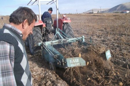 21 Bin 945 Dekar Patates Dondan Etkilendi