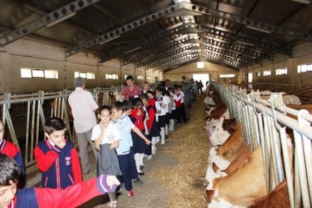 '21 Mayıs Dünya Süt Günü' kutlandı