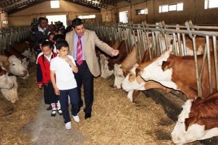 '21 Mayıs Dünya Süt Günü' kutlandı