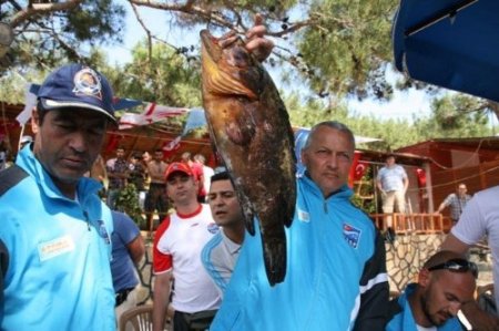 24 su altı takımı Büyükeceli'de yarıştı