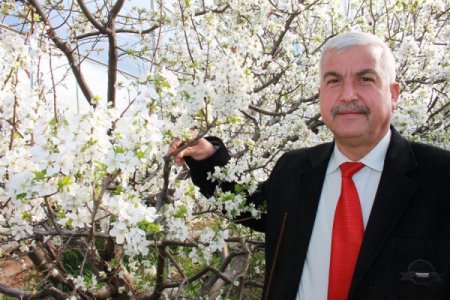 25 gün sonra Silifke can eriği sofralarda