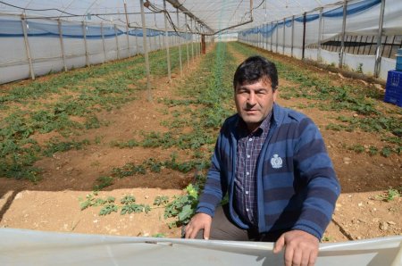 2B’de yüzde 50 indirim tatmin etmedi