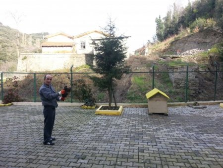 3 yaralı doğandan ikisi, tedavisinin ardından doğaya salındı