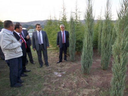 30 milyon fidan toprakla buluşuyor